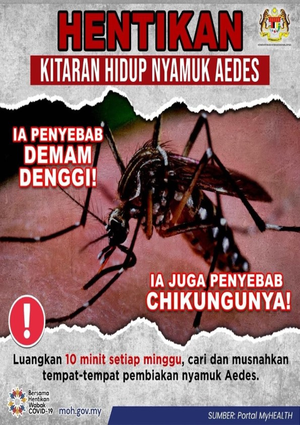 Hentikan Kitaran Hidup Nyamuk Aedes
